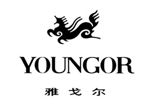 雅戈尔 Youngor